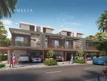 CAMELIA - Image 4